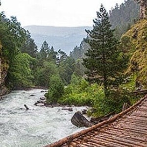 Mahogany Teakwood Body Wash | Sugar Scrub| Body Mist | Lotion Body Butter| Deodorant| Shampoo | Solid Fragrance| Forest Scent | Masculine
