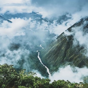 Cloud Forest Body Wash | Sugar Scrub| Body Spray| Lotion | Body Butter| Deodorant| Shampoo Puck| Solid Fragrance | Vegan | Flower Scent