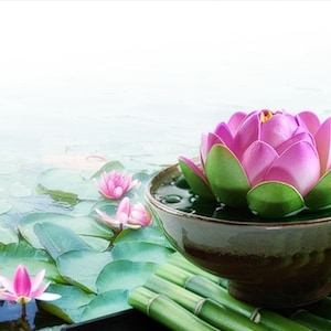 Bamboo and Lotus Flower Body Wash | Sugar Scrub| Body Spray | Lotion | Body Butter | Deodorant| Shampoo| Solid Fragrance| Fresh Clean Scent