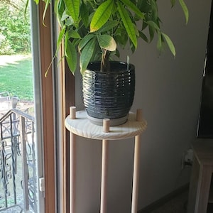 May include: A wooden plant stand with two shelves, featuring a potted green plant with dark green leaves in a black pot. The stand is in a room with a window and carpet.
