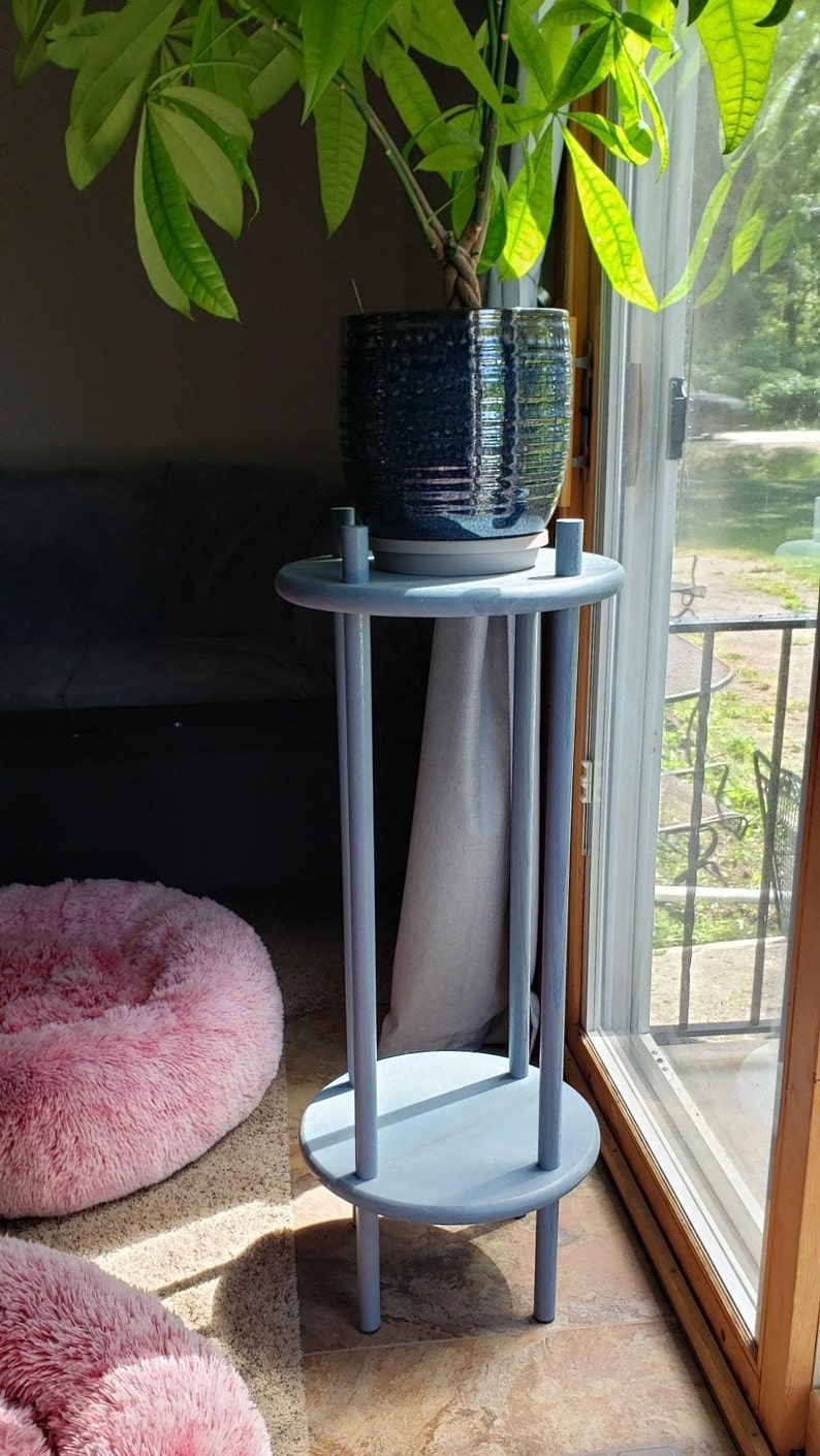 May include: A light blue plant stand with two round shelves and four legs. A potted plant with green leaves sits on the top shelf.