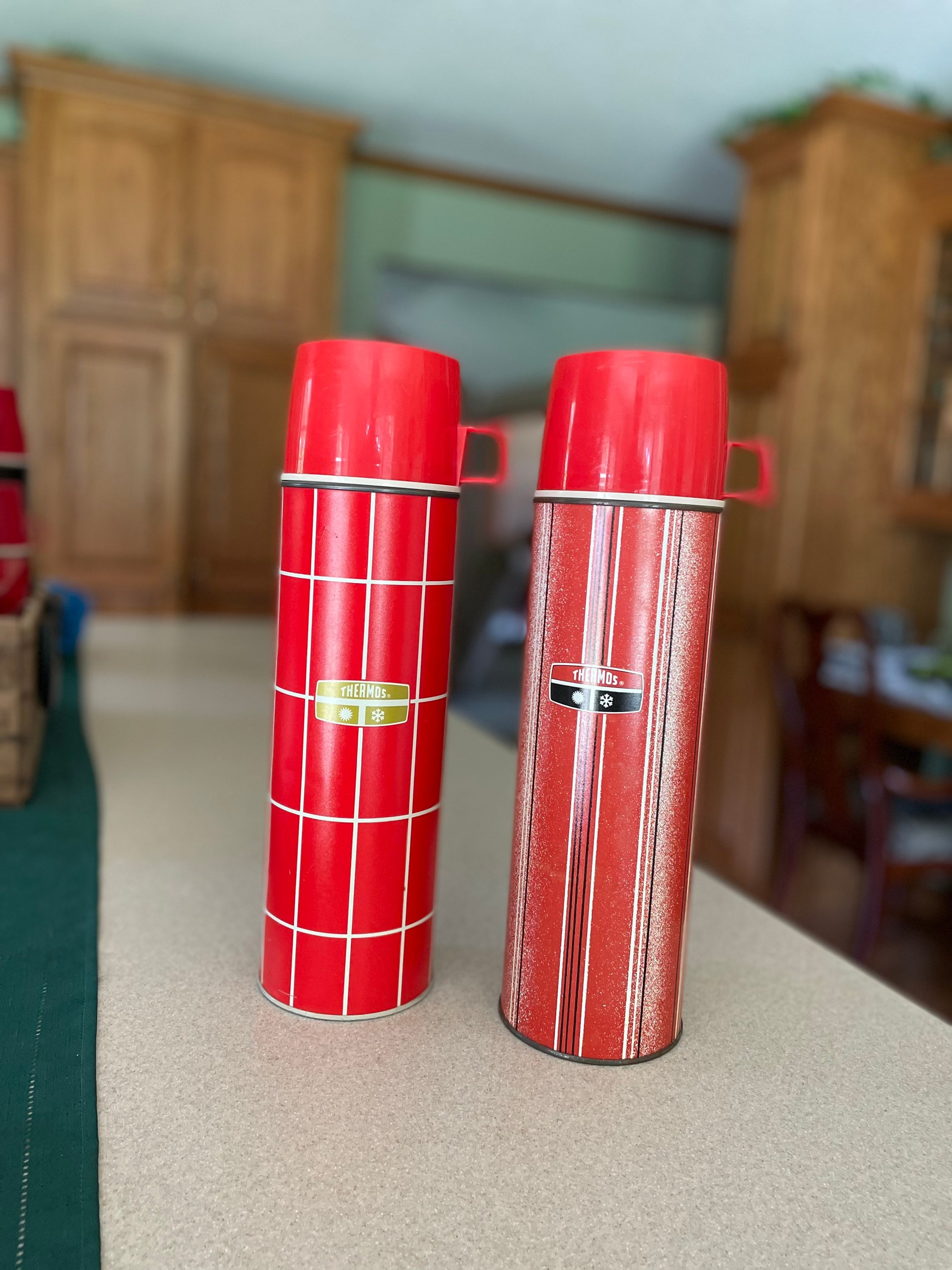 Thermos Grill 2 for sale Only 2 left at 60