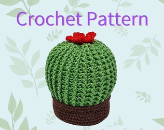 Cactus Crochet Pattern, DIY Crochet Cactus