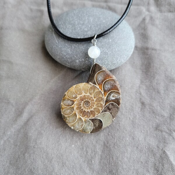Ammonite Moonstone Necklace