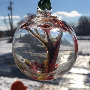 Op de afbeelding: Een heldere glazen ornament met een rode, gele en gouden boom erin. De ornament hangt aan een groen touwtje.