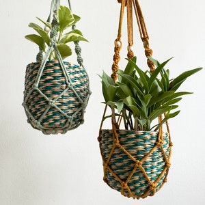 May include: Two hanging plant pots with green and white patterned macrame. The plant on the left has light green leaves and the plant on the right has dark green leaves.