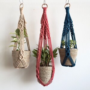 May include: Three macrame plant hangers with different coloured cords, each holding a small potted plant. The hangers are made of natural fibre rope and have a simple, minimalist design. The plants are green and leafy.