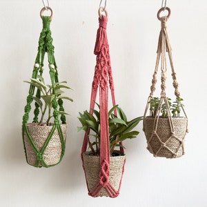 May include: Three macrame plant hangers with green, red, and natural coloured cords. Each hanger holds a small potted plant.