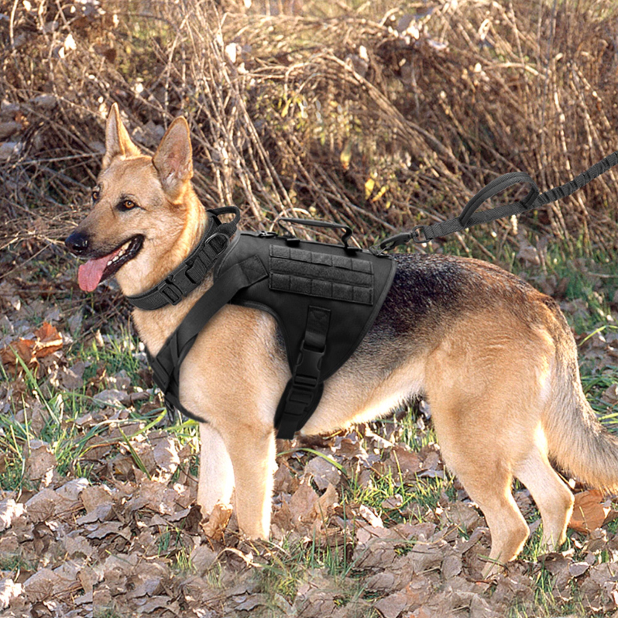 Hunting Dog Vest - Etsy