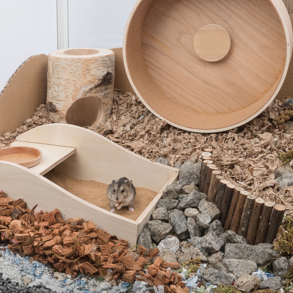 Hamster Sand Bath Basin Sand Bath Room Golden Bear Bath Etsy