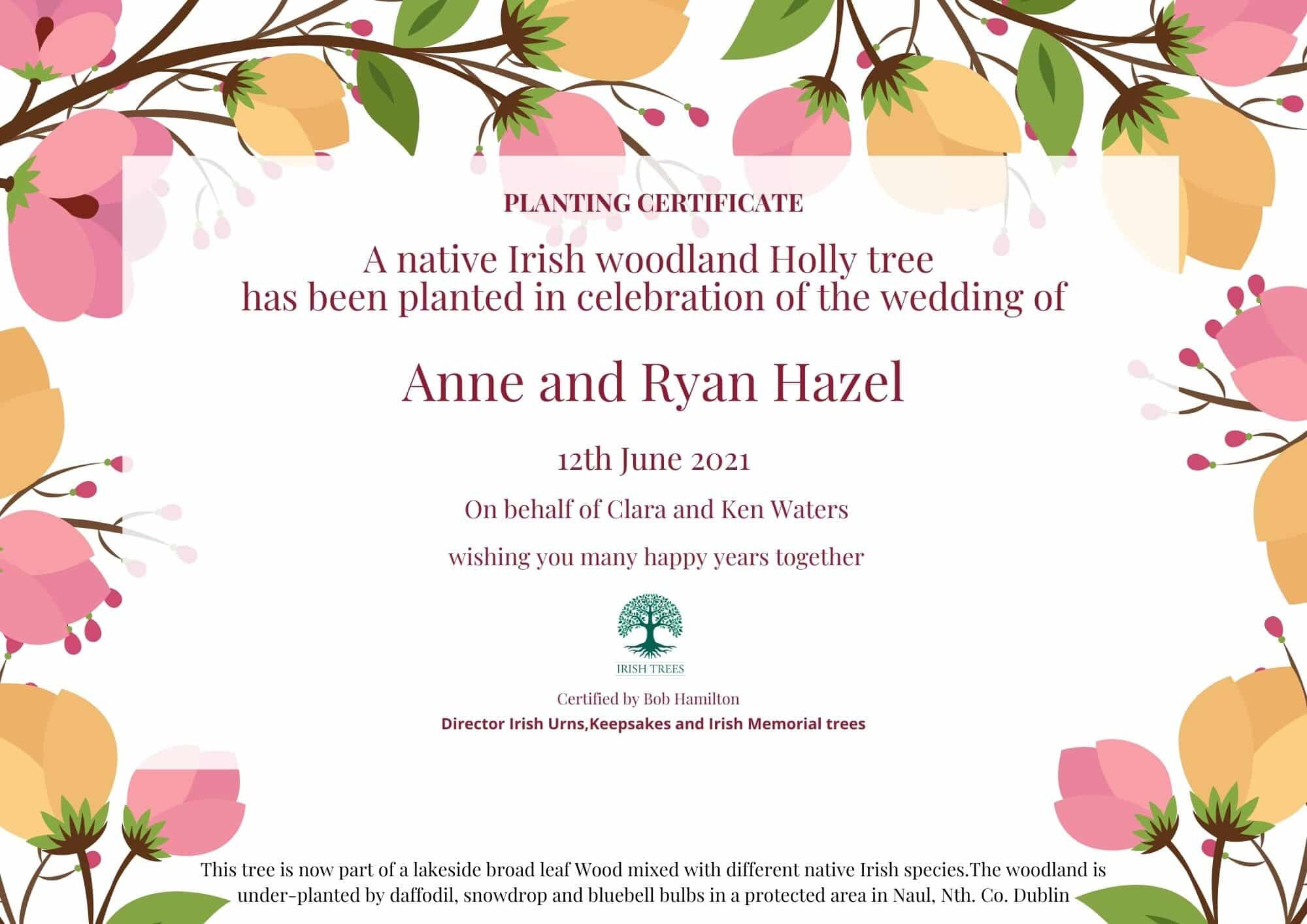 Planting a Tree Gift for Any Occasion Etsy