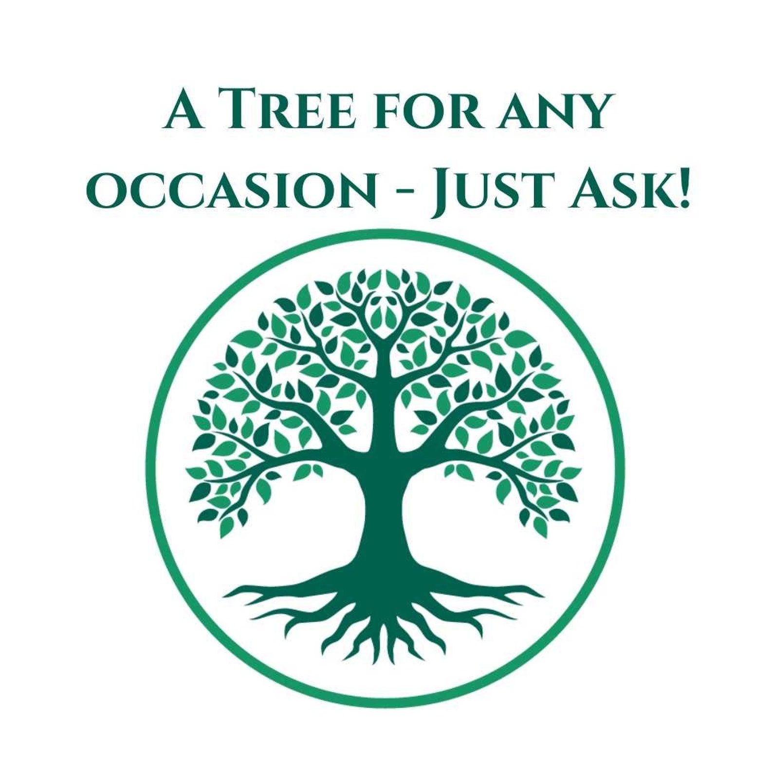 Planting a Tree Gift for Any Occasion Etsy