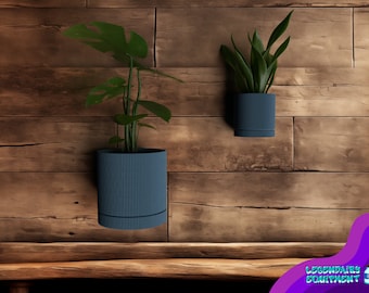 Puede incluir: Dos plantas en maceta con hojas verdes colgando de una pared de madera. Las macetas son azules y tienen una textura acanalada.