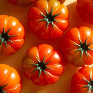 Aimant Tomate Heirloom image 4