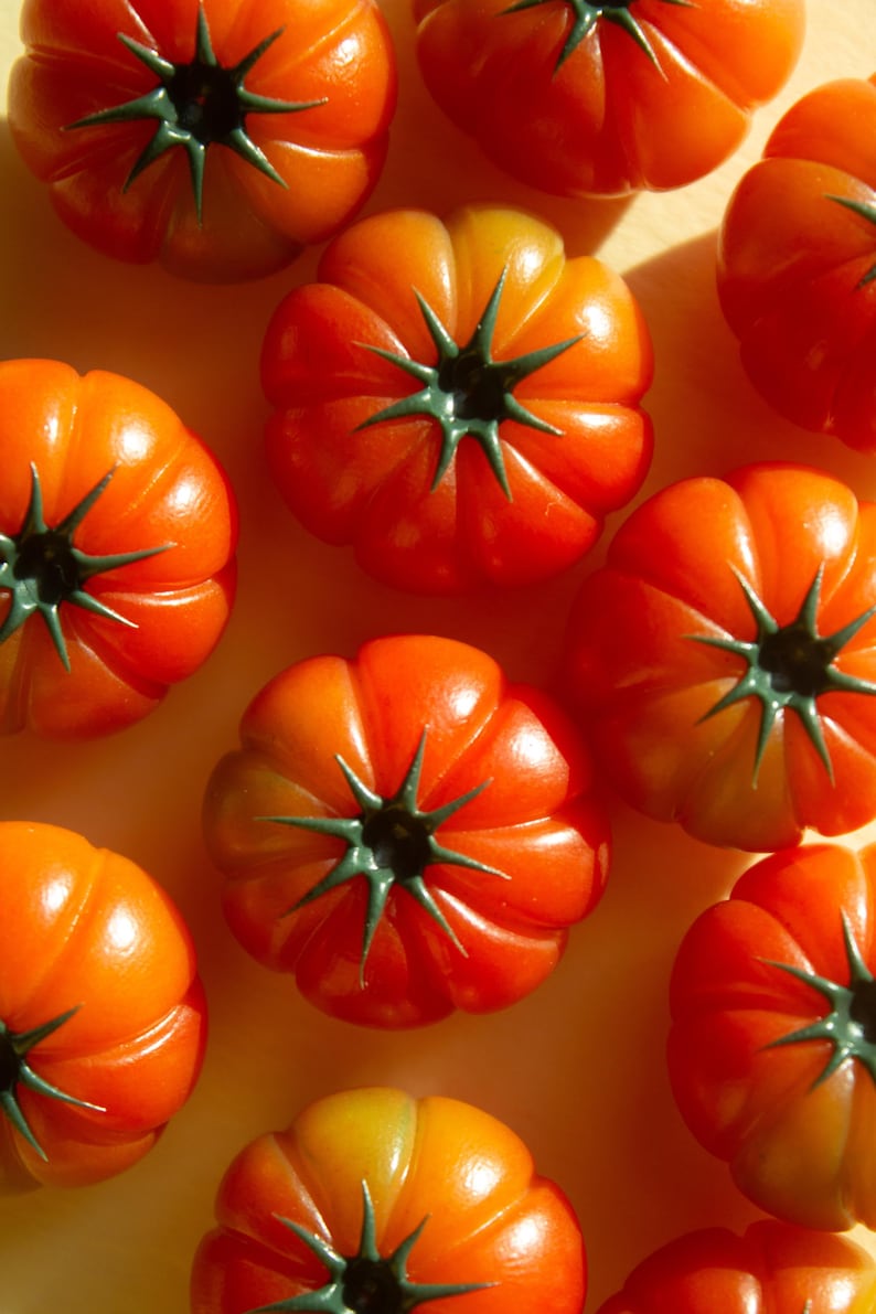 Aimant Tomate Heirloom image 4
