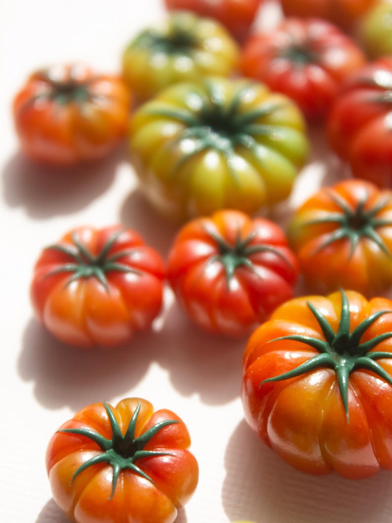 Peut inclure: Gros plan sur une collection de tomates m&ucirc;res, allant du vert au rouge-orang&eacute;. Les tomates pr&eacute;sentent une texture c&ocirc;tel&eacute;e et des tiges vert fonc&eacute;, dispos&eacute;es sur une surface claire. L'image est bien &eacute;clair&eacute;e, mettant en valeur les couleurs et les textures.