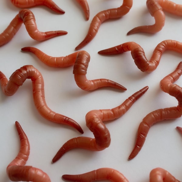 Hand Sculpted Earthworm Earrings | Unique Nature Jewelry | Quirky Polymer Clay Jewelry | Realistic Fridge Magnets