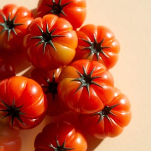 Aimant Tomate Heirloom image 9