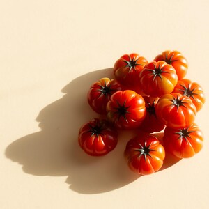 Aimant Tomate Heirloom image 8