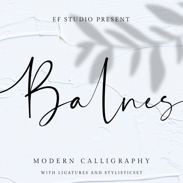 Balnes - Modern Calligraphy Font, Signature Font, Canva Font, Boho Font