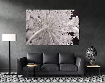 Flower Print, Flower Photography Prints, Flower Canvas Print, Flower Wall Art, Flower Canvas Wall Art, Macro Flower, Macro Photography