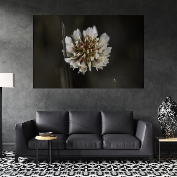 Flower Print, Flower Photography Prints, Flower Canvas Print, Flower Wall Art, Flower Canvas Wall Art, Flower Canvas, Flower Photography