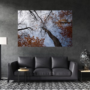 Fall Canvas Wall Art, Forest Canvas Wall Art, Nature Canvas Print, Nature Wall Art, Nature Canvas Wall Art, Forest Photography, Nature Photo