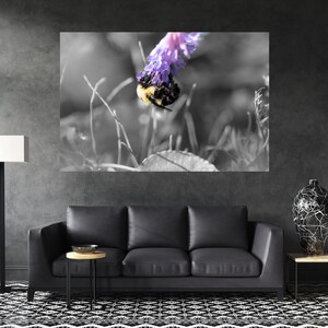 Flower Photography Prints, Insect Photography, Nature Wall Art, Macro Photography, Nature Canvas Wall Art, Nature Photography Prints