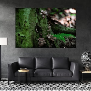 Nature Photography, Nature Canvas Print, Nature Wall Art, Mushroom Photography, Mushroom Print, Nature Canvas Wall Art, Mushroom Canvas