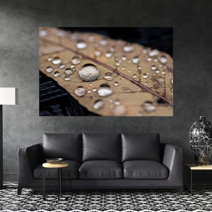 Nature Photography, Fall Photography, Nature Canvas Print, Nature Wall Art, Fall Canvas Print, Nature Canvas Wall Art, Fall Canvas Wall Art