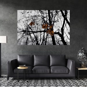 Nature Photography, Nature Photos, Nature Canvas Print, Nature Wall Art, Nature Canvas Wall Art, Nature Photography Prints, Winter Canvas