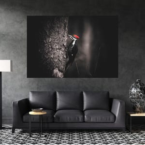 Bird Photography Prints, Bird Wall Art, Woodpecker Wall Art, Nature Prints, Nature Wall Art Print, Black and White Nature Prints