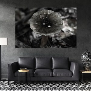 Nature Photography, Nature Canvas Print, Nature Wall Art, Mushroom Photography, Mushroom Print, Nature Canvas Wall Art, Mushroom Canvas