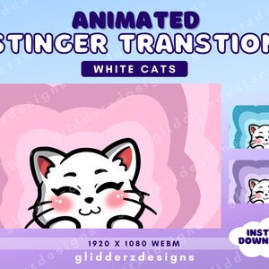 Cat Stinger Transition Animated | White Cat Twitch Stream Transition | Animated Twitch Transition | Purple, Pink, Blue Twitch Stinger