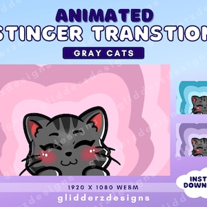 ANIMATED Stinger Transition Cat | Gray Cat Stream Transition | Animated Scene Transition | Purple, Pink, Blue Twitch Stinger Transition