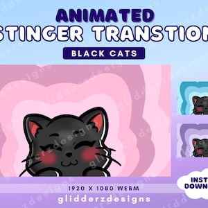 Twitch Stinger Transition Animated | Black Cat Stream Transition | Stream Cat Transition | Purple, Pink, Blue Twitch Transition