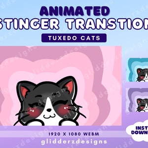 Twitch Stinger Transition Cats | Tuxedo Cat Stream Transition | Animated Stinger Transition | Purple, Pink, Blue Scene Transition