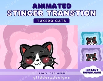 Twitch Stinger Transition Cats / Tuxedo Cat Stream Transition / Animated Stinger Transition / Purple, Pink, Blue Scene Transition