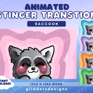 Raccoon Stinger Transition | Raccoon Twitch Transition | Animated Stinger Transition | Cute Raccoon Scene Transition