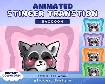 Wasbeer Stinger-overgang | Raccoon Twitch-overgang | Geanimeerde Stinger-overgang | Leuke wasbeerscène-overgang