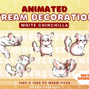 White Chinchilla Animated Stream Decoration and Alerts | Chinchilla Animated Alerts | Chinchilla Stream Decoration | White Chinchilla Twitch