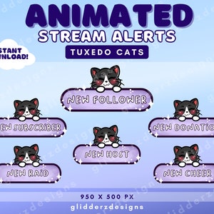 Animated Twitch Alerts Cats | Tuxedo Cat Alerts Twitch | Purple Stream Alerts | Cat Stream Alerts Twitch | Cat Twitch Alerts