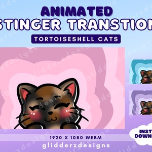 Stinger ANIMATED Transition | Tortoiseshell Cat Transition Twitch | Animated Stream Transition | Purple, Pink, Blue Scene Transition