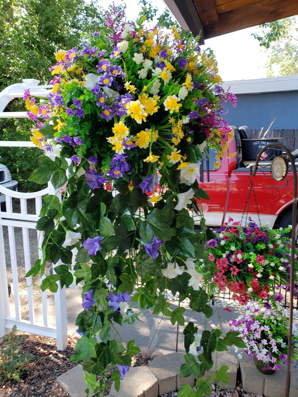 Hanging basket daisies morning glory ivy Etsy