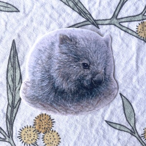 Australische dierenstickers, gewone wombatsticker, dieren in het wild, glanzend laminaat, vinyl, waterbestendig, geïllustreerde kunstenaarssticker