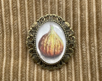 Brooch, fig, original art, coloured pencil drawing, food themed jewellery, fruit pin, cabochon, vintage style, antique look