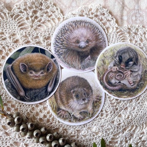 Adesivo de animal australiano, equidna, rakali, gambá pigmeu da montanha, microbat, redondo fosco, vinil, resistente à água, fofo, arte realista
