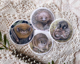 Australian Animal sticker, echidna, rakali, mountain Pygmy possum, microbat, round matte, vinyl, water resistant, cute, realistic art