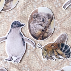 Pegatinas de animales australianos, pequeño pingüino azul, koala dormido, abeja con bandas azules, laminado brillante, vinilo, pegatina de artista, vida silvestre, naturaleza