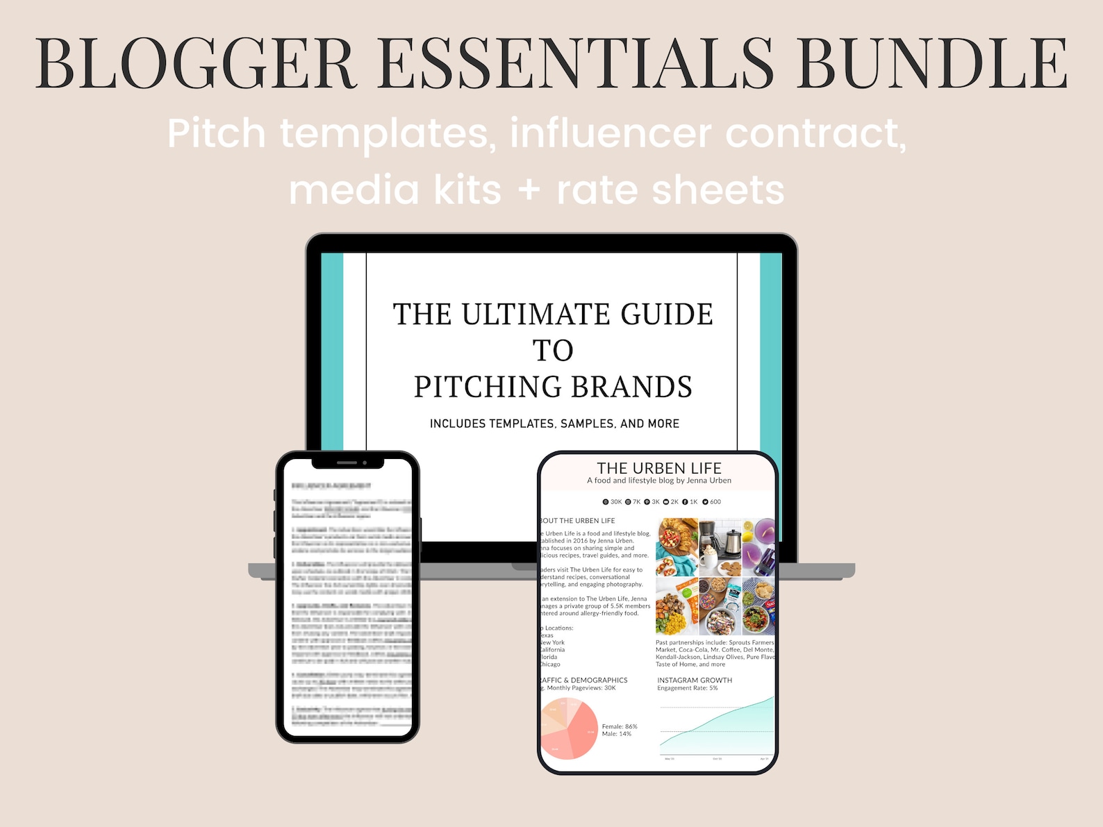Influencer Pitch To Brands Template Influencer Pitch To Brands Template